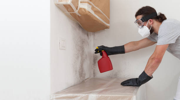 Professional Bathroom Mold Removal technician working in Whitakers, NC